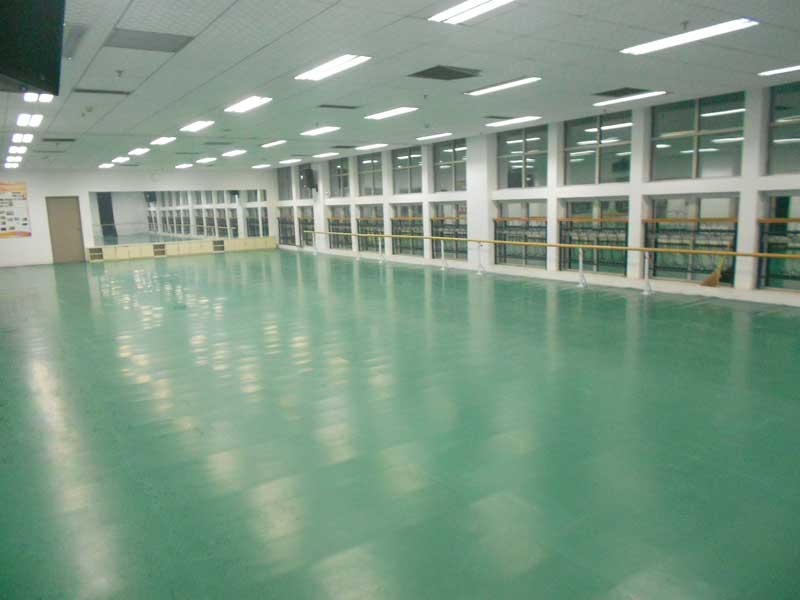 河北保定市河北大學(xué)藝術(shù)學(xué)院舞蹈地板