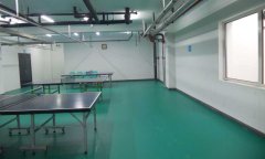 北京市豐臺區乒乓球地膠